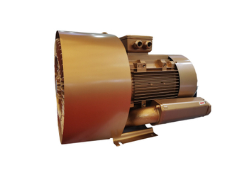 Double Impeller Best Quality Side Channel Blower for Medical Equipment