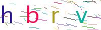 Verify Code