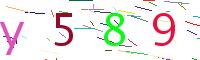 Verify Code