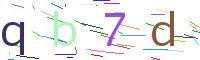 Verify Code