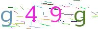 Verify Code
