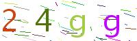 Verify Code