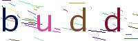 Verify Code