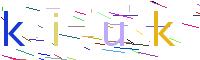 Verify Code