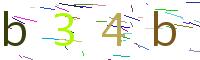 Verify Code