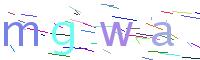 Verify Code
