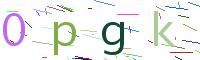 Verify Code