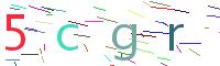 Verify Code