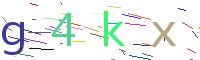 Verify Code