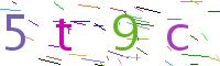 Verify Code