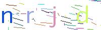 Verify Code
