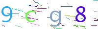 Verify Code