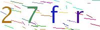 Verify Code