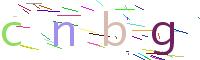 Verify Code