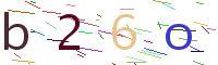 Verify Code