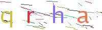 Verify Code