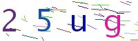 Verify Code
