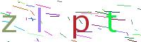 Verify Code