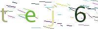 Verify Code