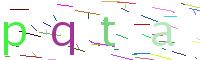 Verify Code