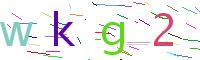 Verify Code