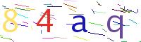 Verify Code