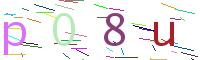 Verify Code