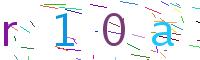 Verify Code