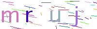 Verify Code