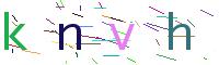Verify Code